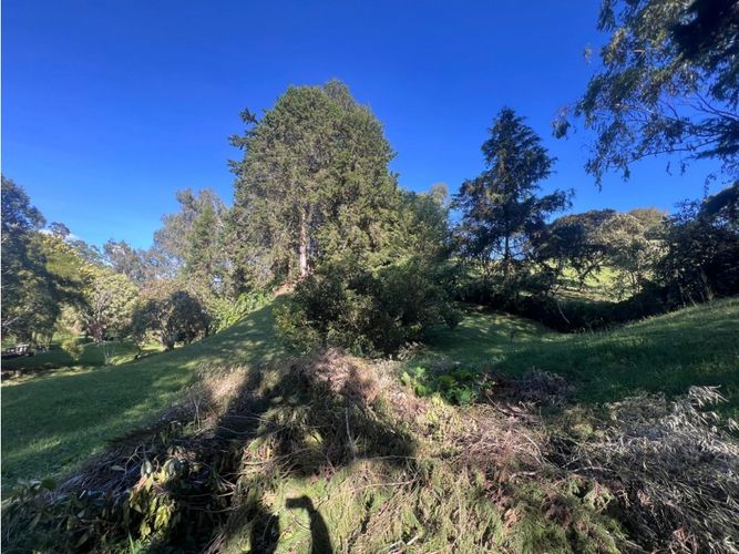 Finca en venta en Playa Rica-Rancheria, Rionegro, 300 m² · foto 5 de 24