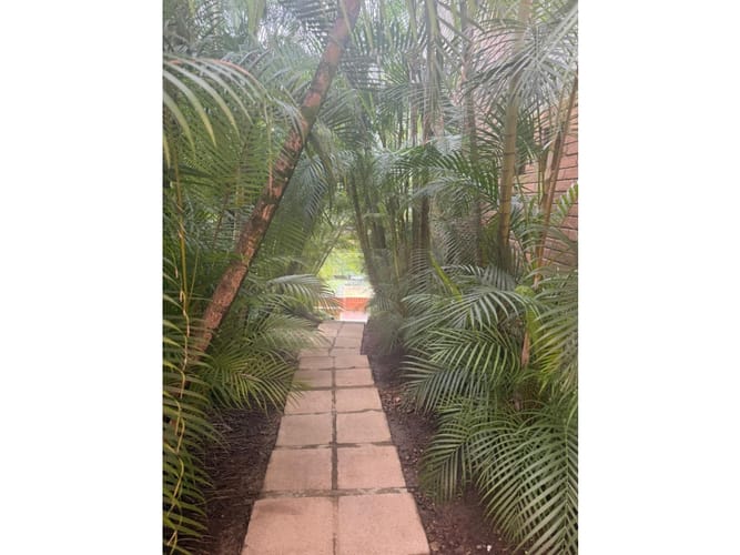 Apartamento de 3 alcobas en venta en Los Balsos, Medellín, 236 m² · foto 17 de 19