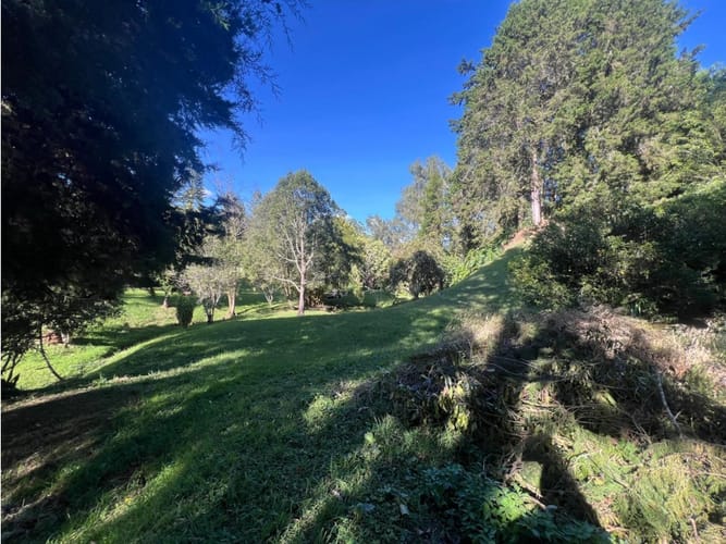 Finca en venta en Playa Rica-Rancheria, Rionegro, 300 m² · foto 16 de 24
