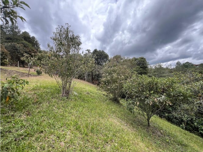 Lote en venta en Don Diego, El Retiro, 3286 m² · foto 6 de 10
