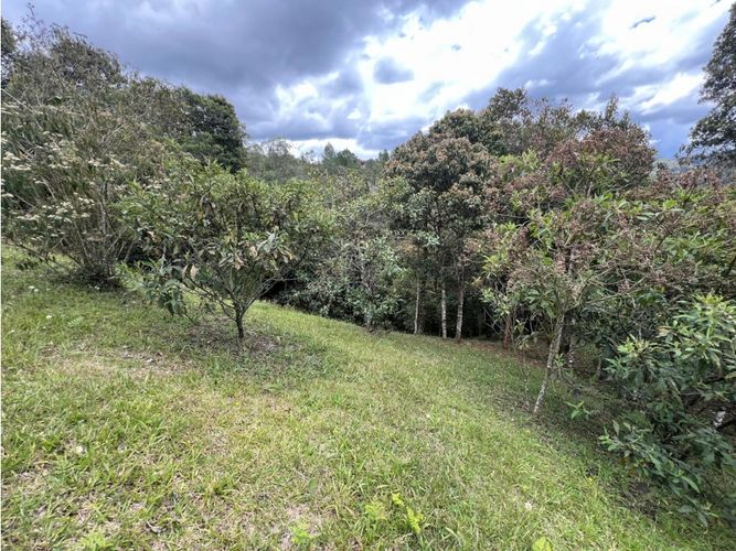 Lote en venta en Don Diego, El Retiro, 3286 m² · foto 10 de 10