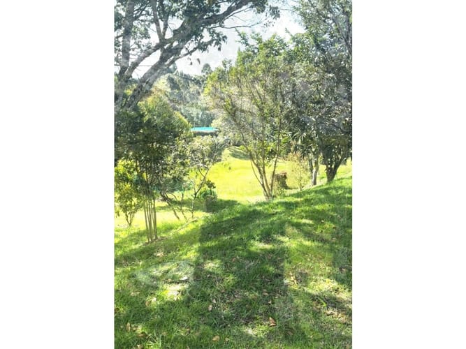 Lote en venta en So�Adora, El Carmen de Viboral, 4755 m² · foto 9 de 16
