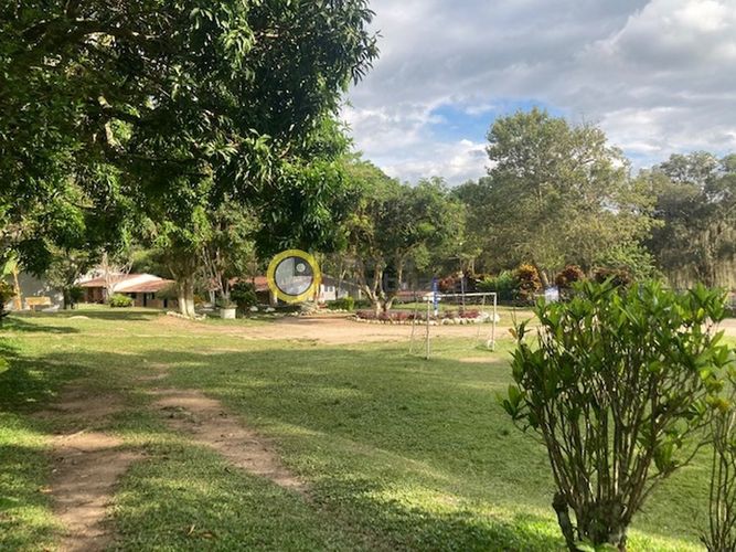 Finca en venta en La Mata, Piedecuesta, 15000 m² · foto 10 de 22
