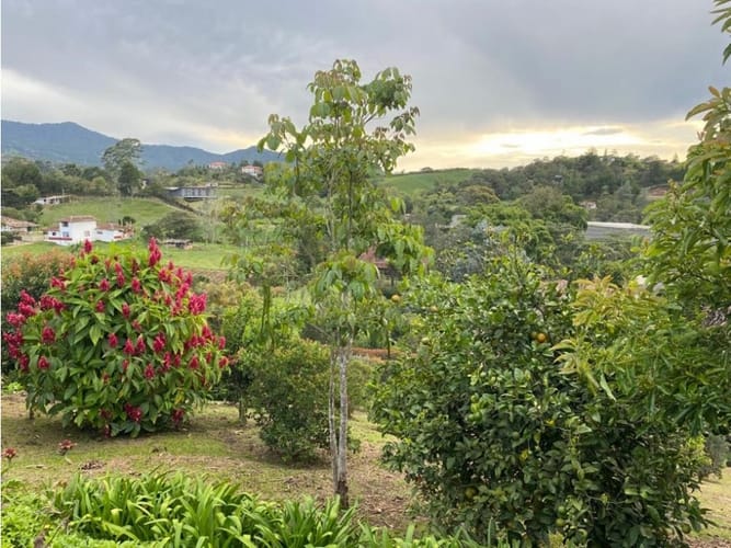 Casa de 4 alcobas en venta en El Carmen De Viboral, El Carmen de Viboral, 329 m² · foto 13 de 21