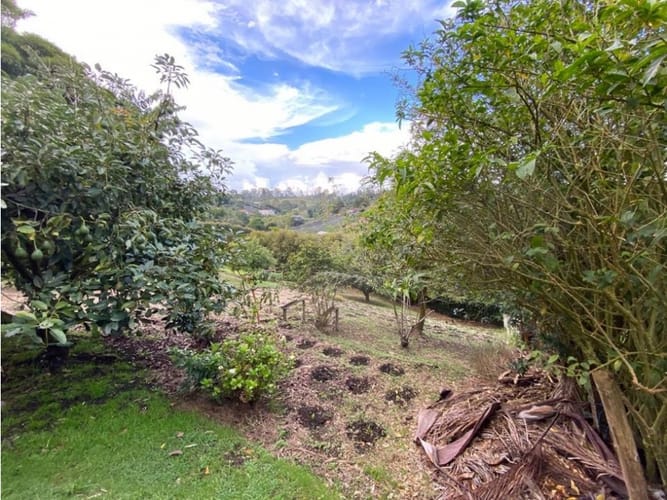 Casa de 4 alcobas en venta en El Carmen De Viboral, El Carmen de Viboral, 329 m² · foto 21 de 21