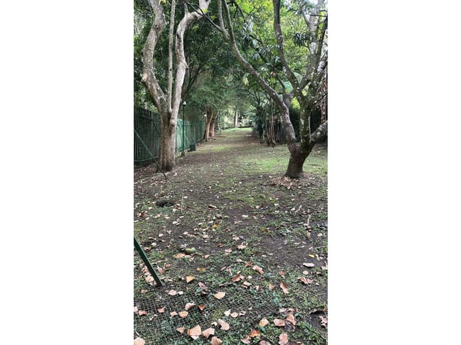 Apartamento en venta en Perpetuo Socorro, Medellín · foto 23 de 24