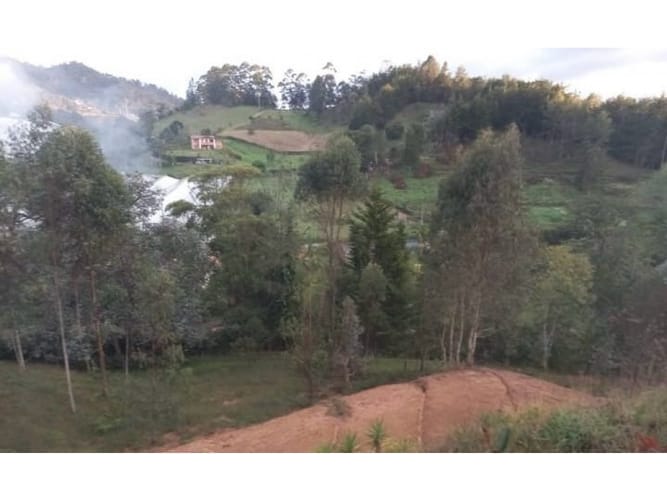 Lote en venta en El Chuscal, El Retiro, 5000 m² · foto 6 de 6