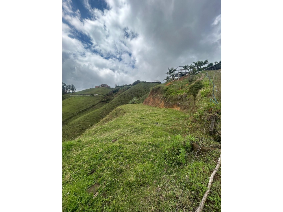 Land in Los naranjos (3000 m²) for Sale - 2