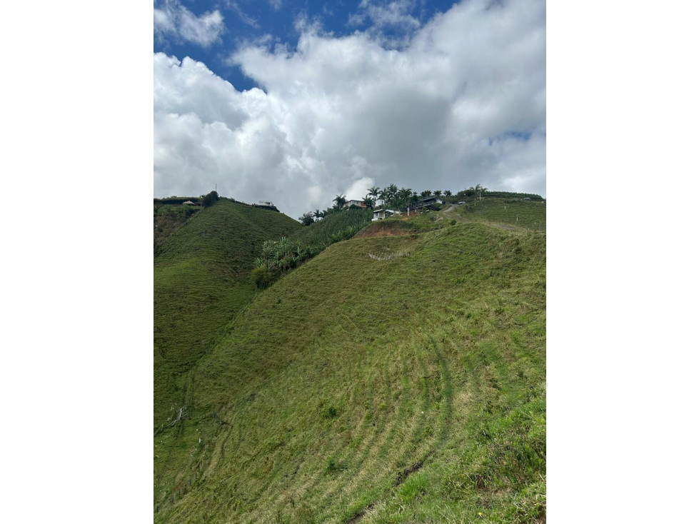 Land in Los naranjos (3000 m²) for Sale - 3