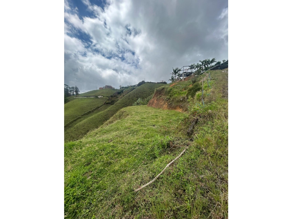Land in Los naranjos (3000 m²) for Sale - 4