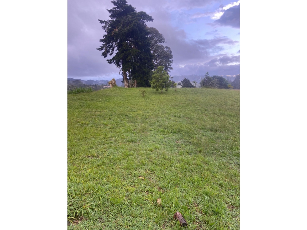Land in El Poblado for Sale - 3