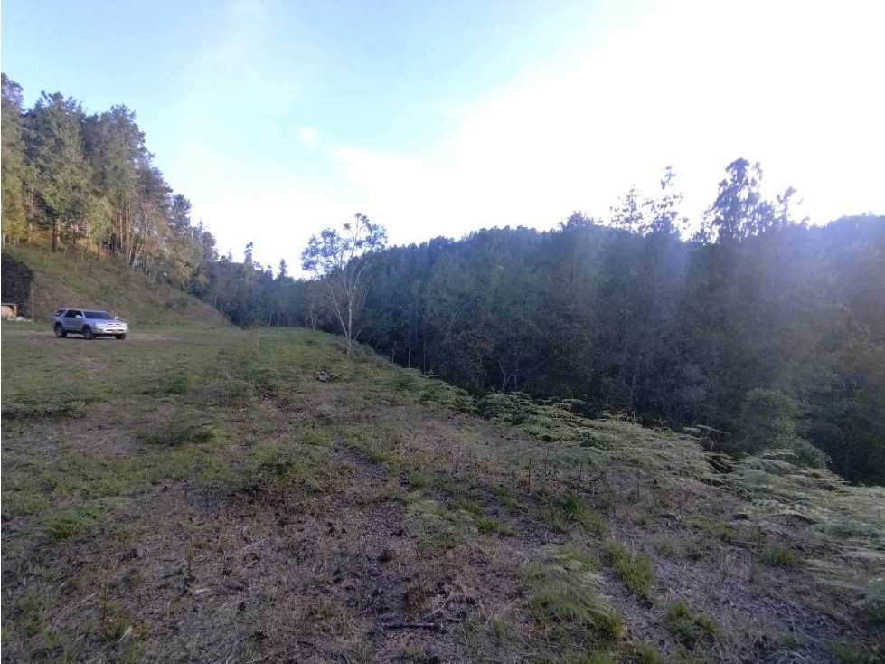 Land in Laureles for Sale