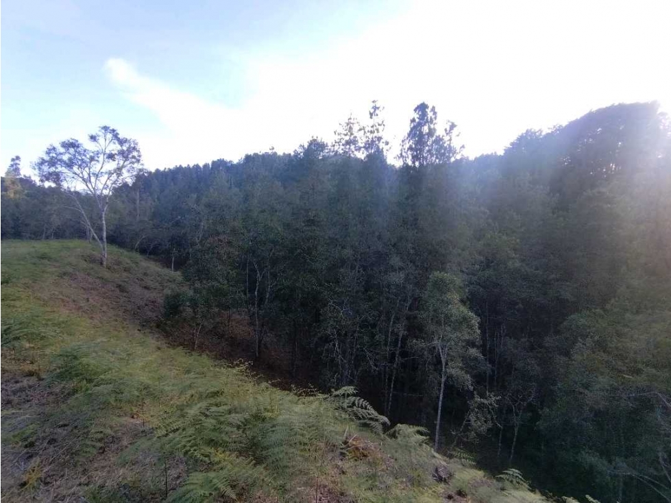 Land in Laureles for Sale - 3