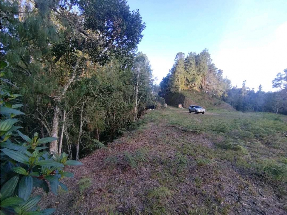 Land in Laureles for Sale - 4