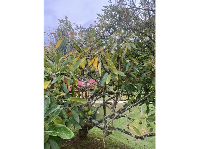 Casa de 6 alcobas en venta en El Zango, Guarne, 270 m² · foto 16 de 24