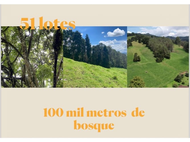 Lote en venta en Llano Grande, Rionegro, 1372 m² · foto 3 de 4