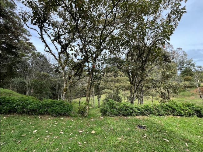 Casa de 3 alcobas en venta en Sajonia, Rionegro, 235 m² · foto 8 de 19