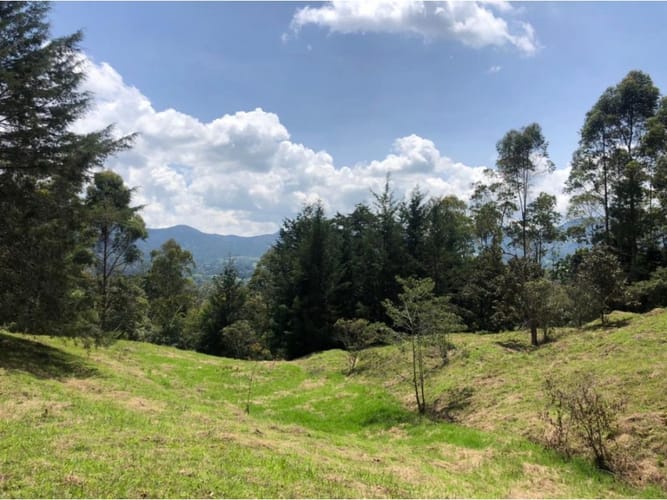 Lote en venta en La Ceja, 48000 m² · foto 6 de 15