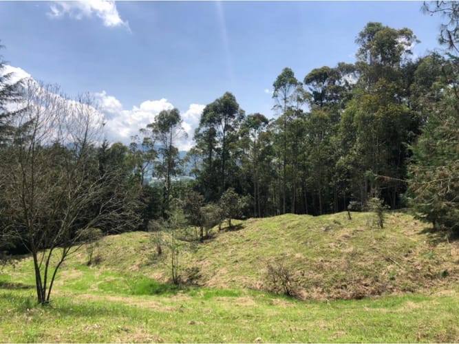 Lote en venta en La Ceja, 48000 m² · foto 7 de 15