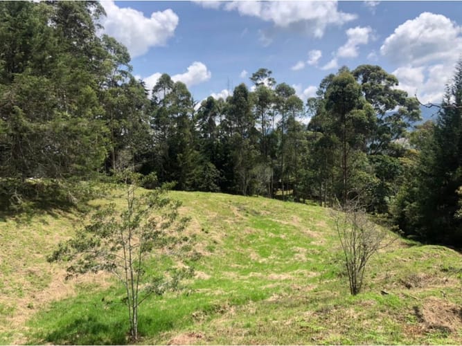 Lote en venta en La Ceja, 48000 m² · foto 10 de 15