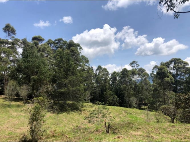 Lote en venta en La Ceja, 48000 m² · foto 12 de 15