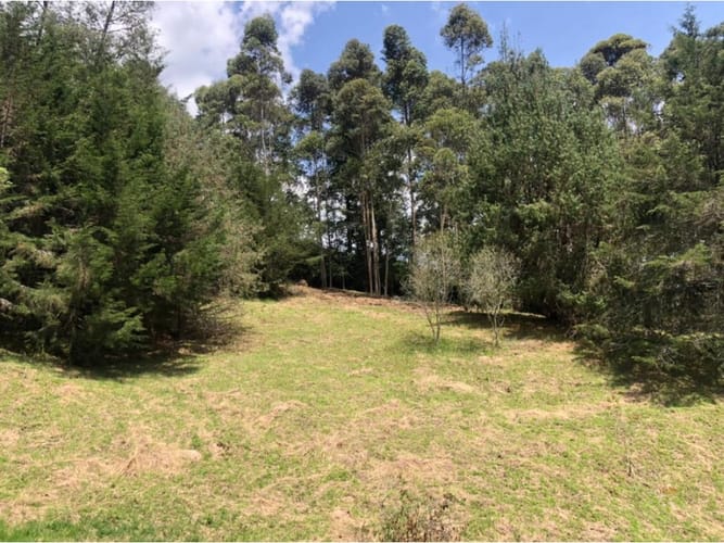 Lote en venta en La Ceja, 48000 m² · foto 13 de 15