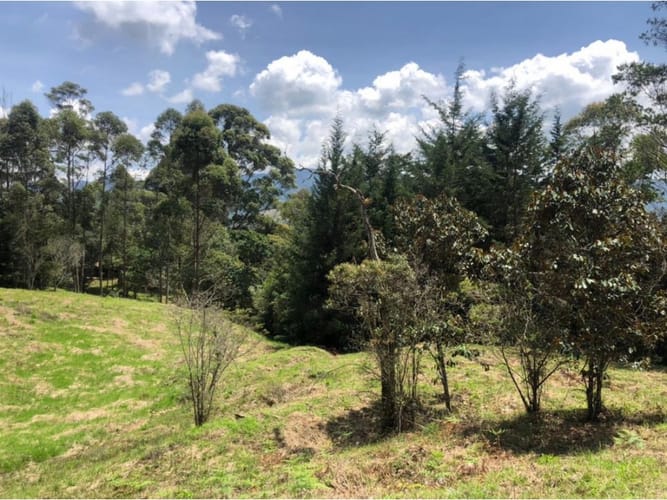 Lote en venta en La Ceja, 48000 m² · foto 14 de 15