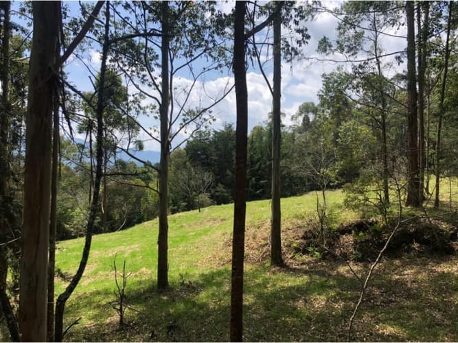 Lote en venta en La Ceja, 48000 m² · foto 15 de 15