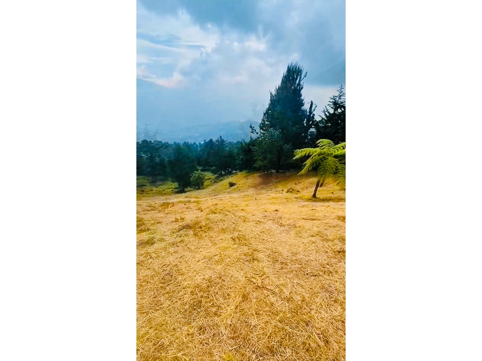 Image 2 for the property advertised in Medellín