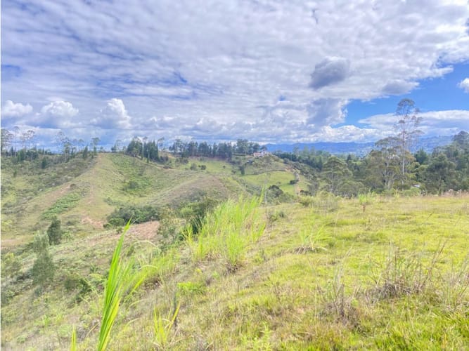 Lote en venta en Berracal, Guarne · foto 2 de 5