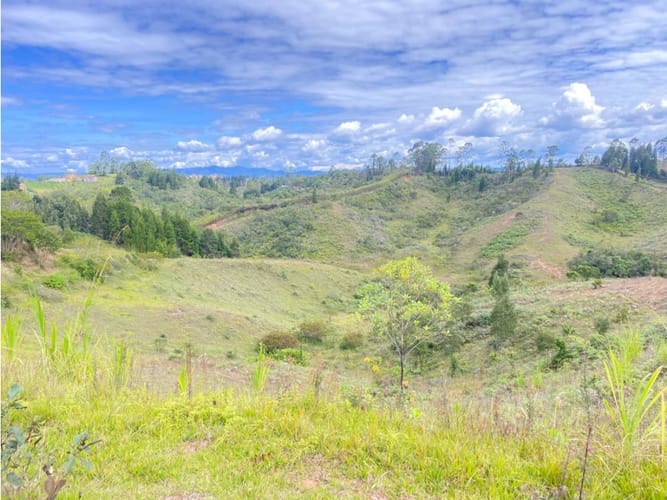 Lote en venta en Berracal, Guarne · foto 3 de 5