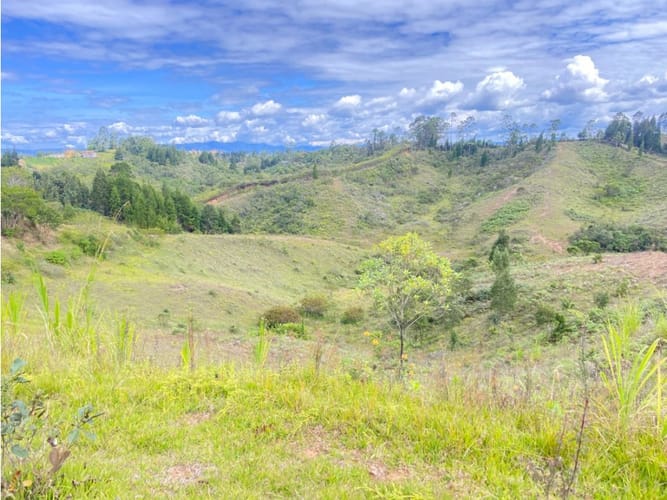 Lote en venta en Berracal, Guarne · foto 4 de 5