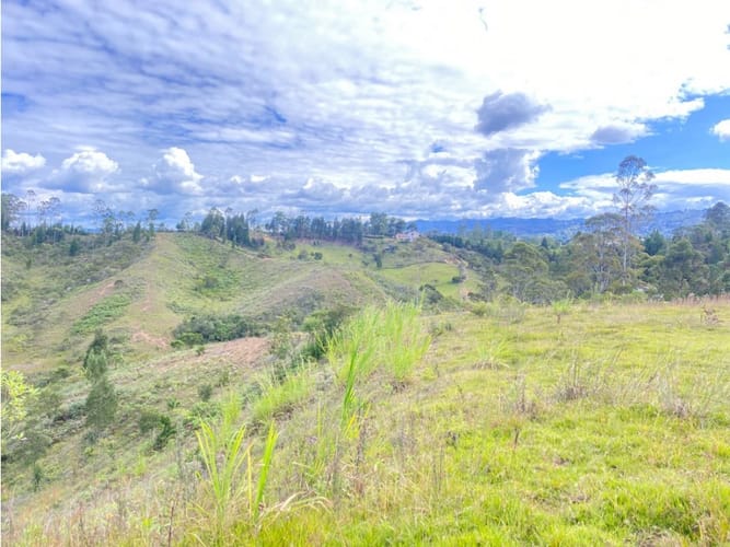 Lote en venta en Berracal, Guarne · foto 5 de 5
