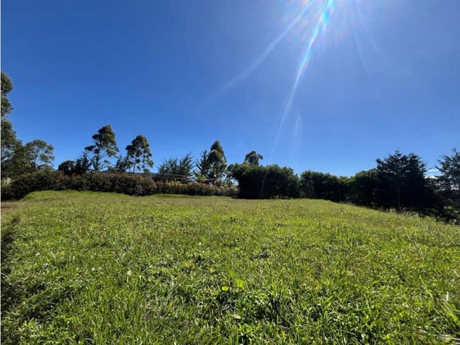 Lote en venta en Cabeceras De Llanogrande, Rionegro, 7902 m² · foto 4 de 10