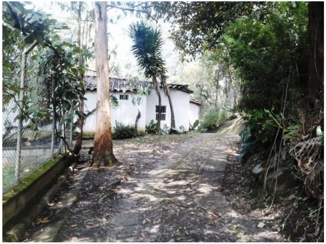 Casa de 3 alcobas en venta en El Poblado, Medellín, 200 m² · foto 5 de 6