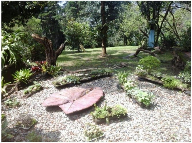 Casa de 3 alcobas en venta en El Poblado, Medellín, 200 m² · foto 6 de 6