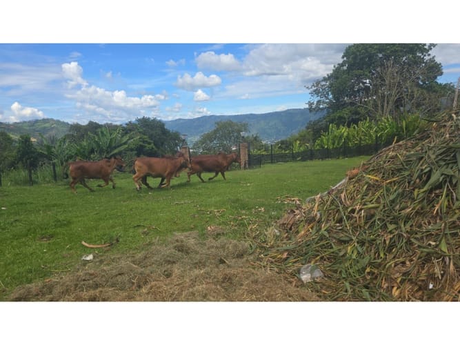 $10.500.000.000 en Monta�Ita