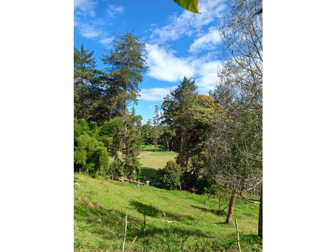 Lote en venta en Centro, Rionegro, 164 m² · foto 4 de 6