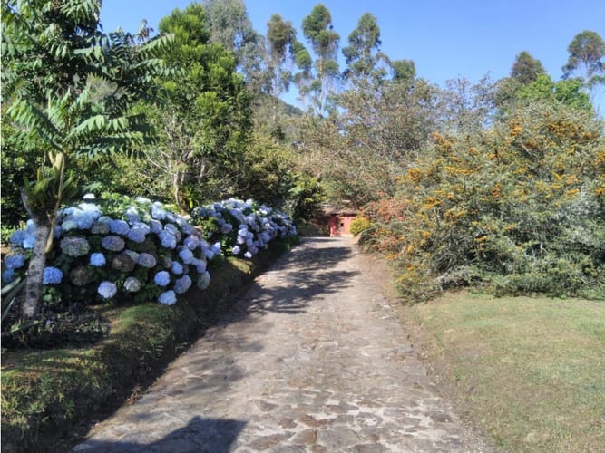 Casa de 5 alcobas en venta en Lomitas, La Ceja, 487 m² · foto 11 de 24