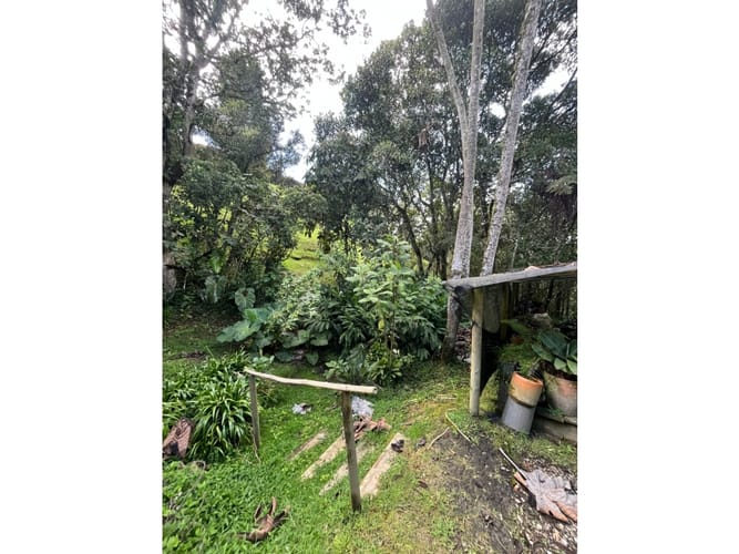 Casa de 5 alcobas en venta en Playa Rica-Rancheria, Rionegro, 400 m² · foto 12 de 24