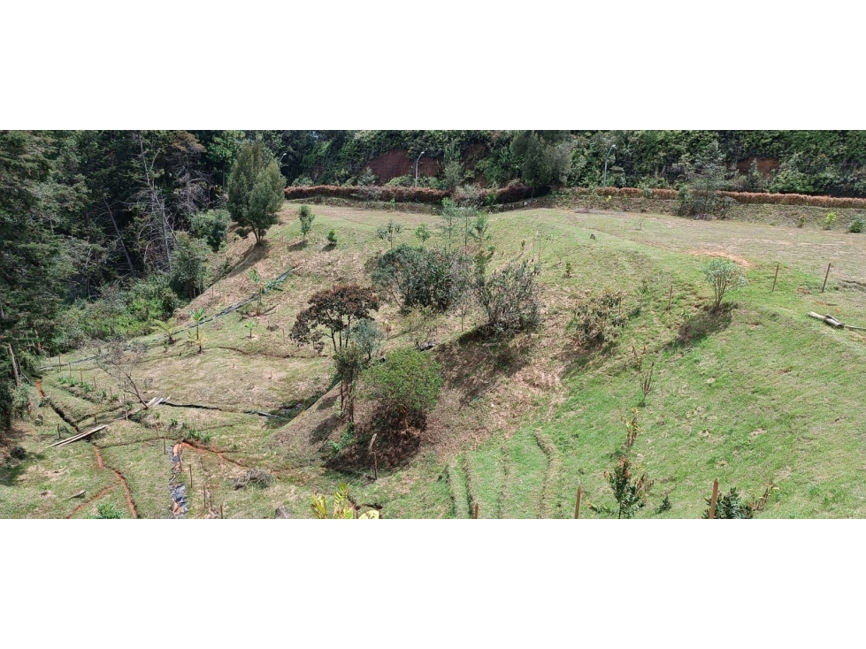 Imagem 2 do imóvel anunciado em Medellín