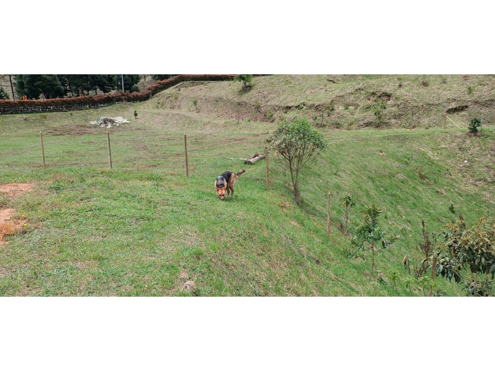 Imagem 3 do imóvel anunciado em Medellín