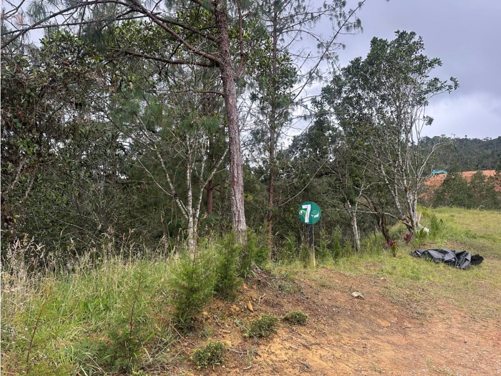 Land in El chuscal (3200 m²) for Sale
