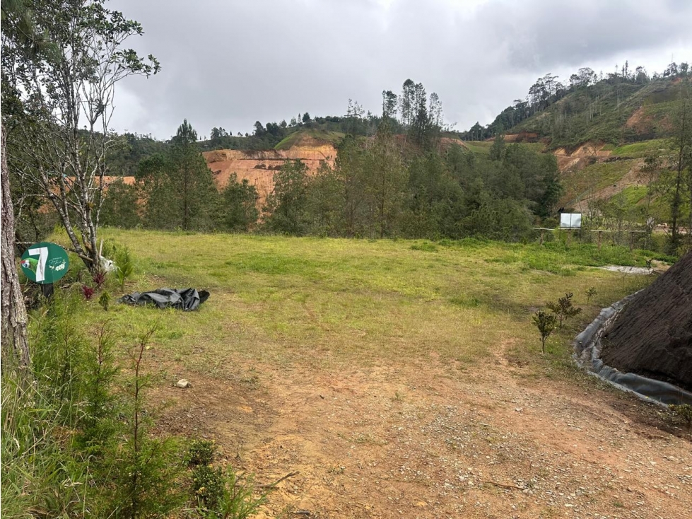 Land in El chuscal (3200 m²) for Sale - 2