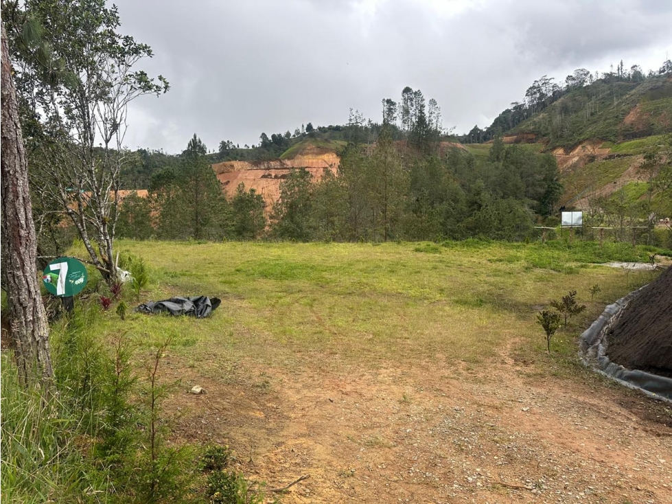 Land in El chuscal (3200 m²) for Sale - 4