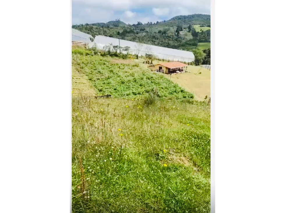 Imagen 2 del inmueble anunciado en Medellín