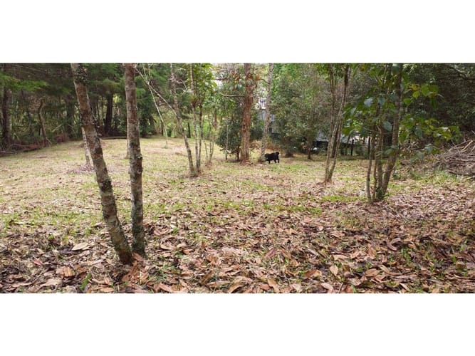 Casa de 3 alcobas en venta en La Convencion, Rionegro · foto 2 de 8