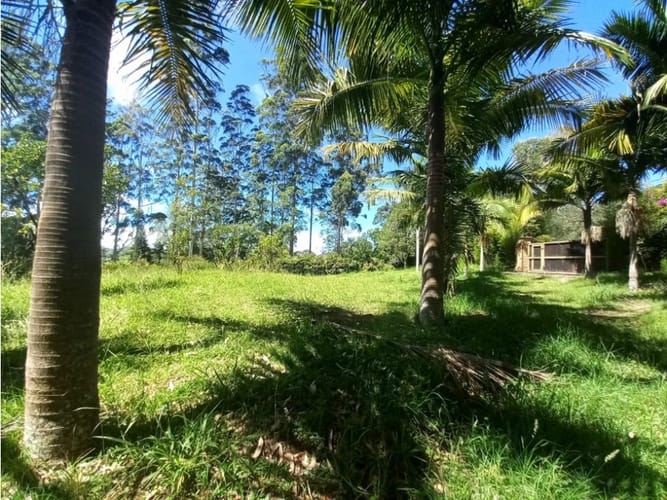 Lote en arriendo en Llano Grande, Rionegro, 12270 m² · foto 3 de 10