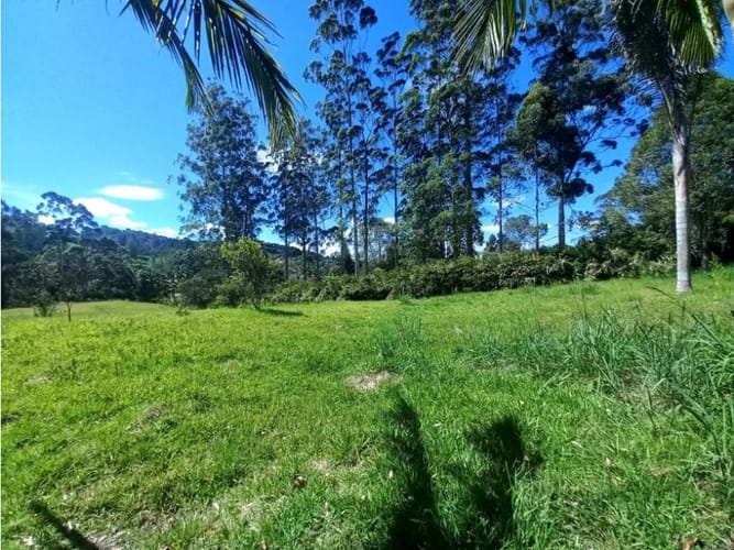 Lote en arriendo en Llano Grande, Rionegro, 12270 m² · foto 4 de 10