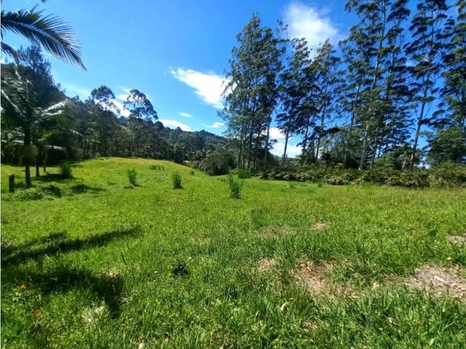 Lote en arriendo en Llano Grande, Rionegro, 12270 m² · foto 5 de 10